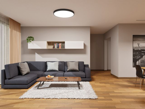 Wohnzimmer Schwarzer mit LED2 Mono Slim Deckenleuchte
